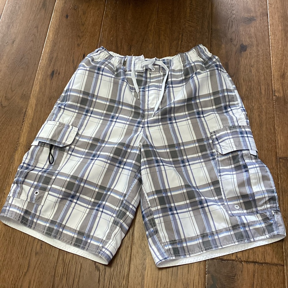 Hudson North swim shorts